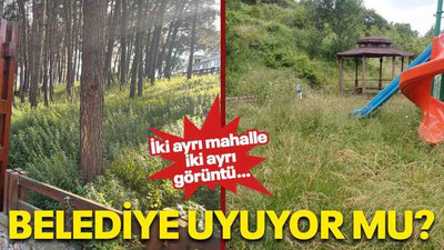 Belediye uyuyor mu?